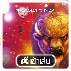 สล็อตpp